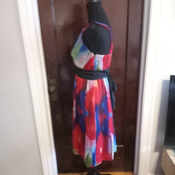 The Limited Empire Waist Dress Watercolor Tie Dye Red Poppy Floral Chiffon Sz 4 - Picture 2 of 11